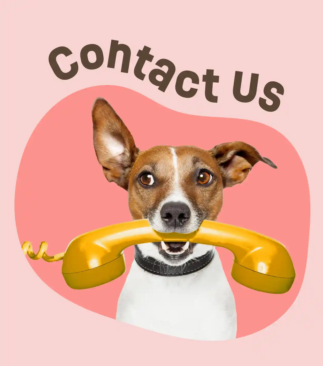 Contact Us