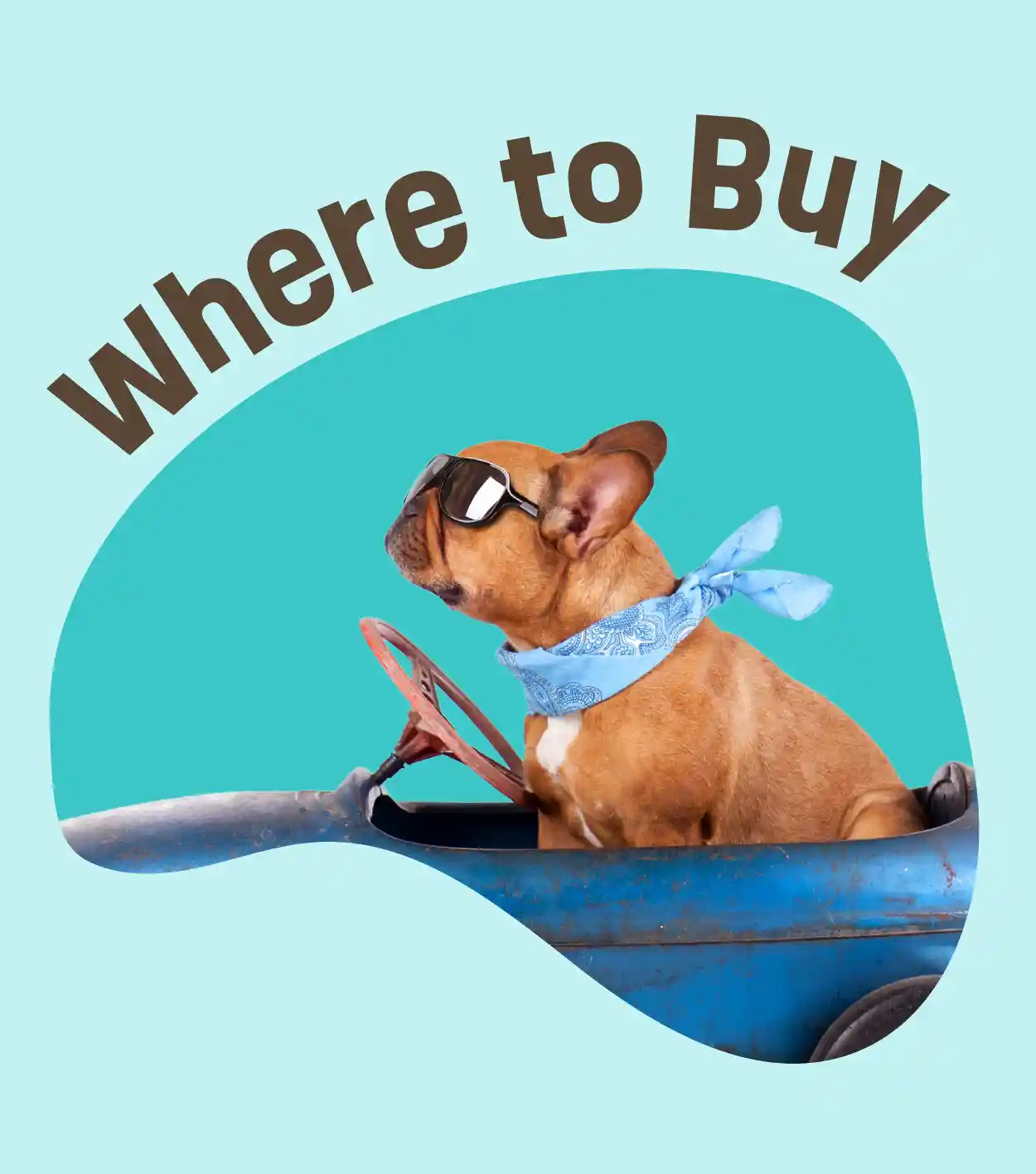 Where to Buy