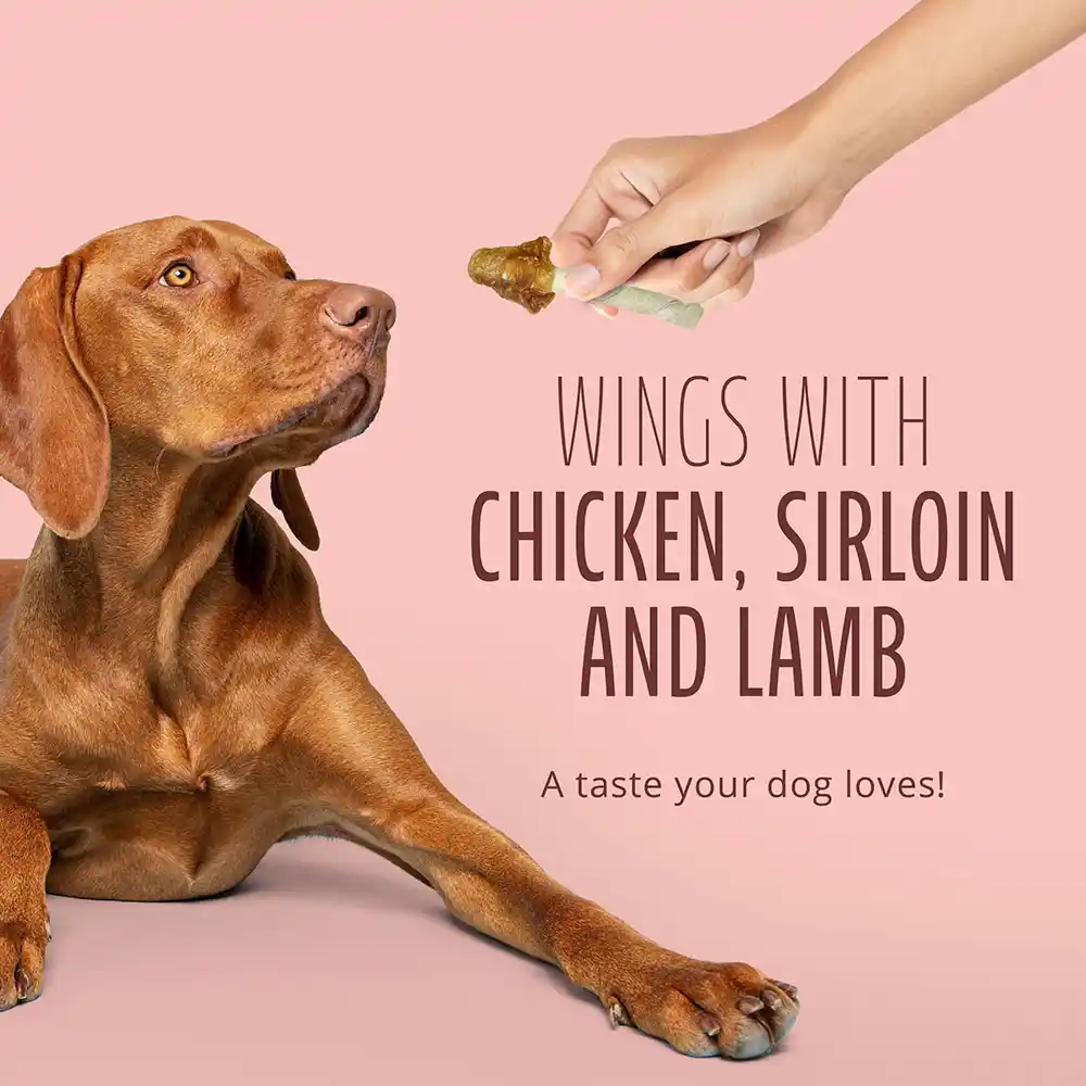 Chicken, Sirloin and Lamb