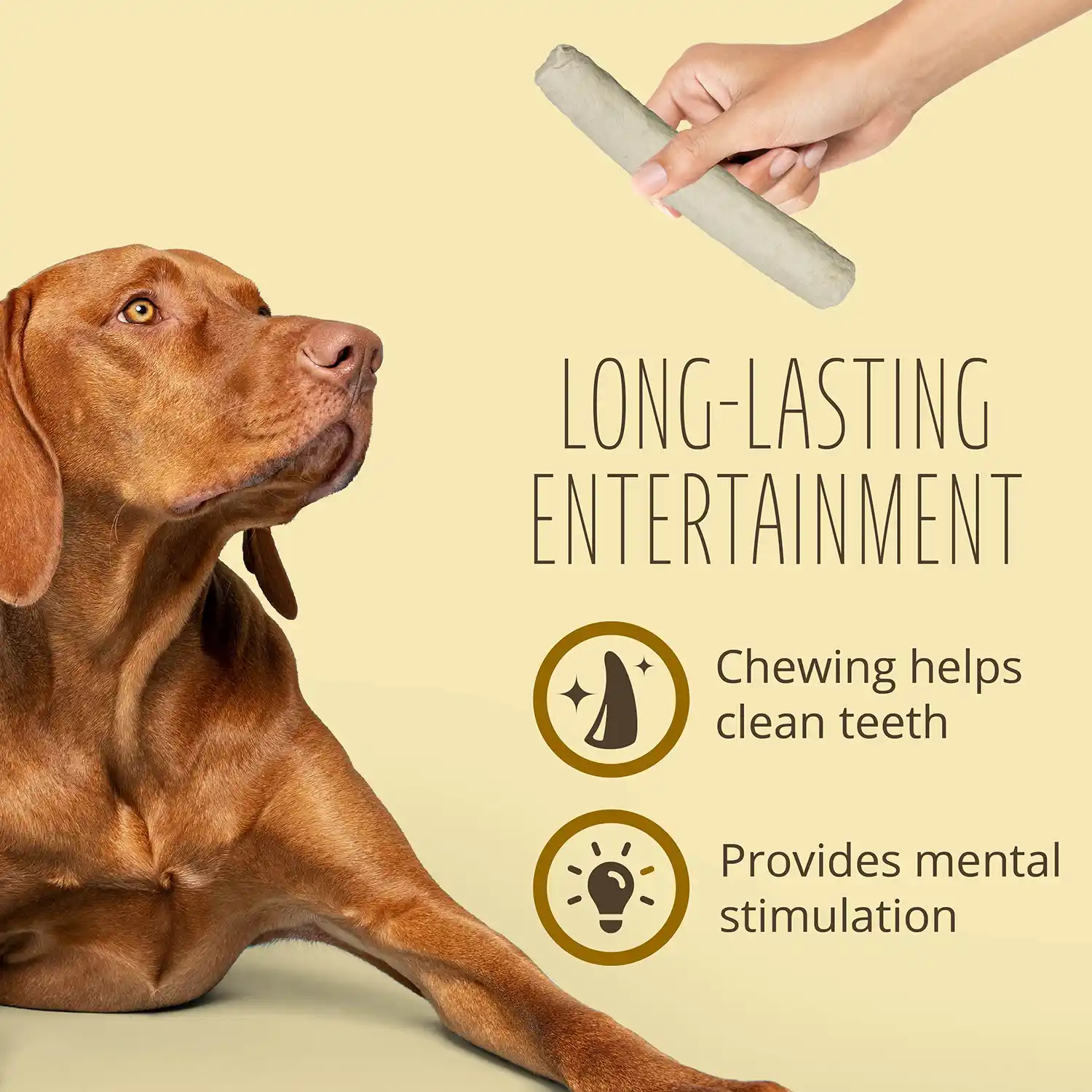 LONG-LASTING ENTERTAINMENT Chewing helps clean teeth Provides mental stimulation