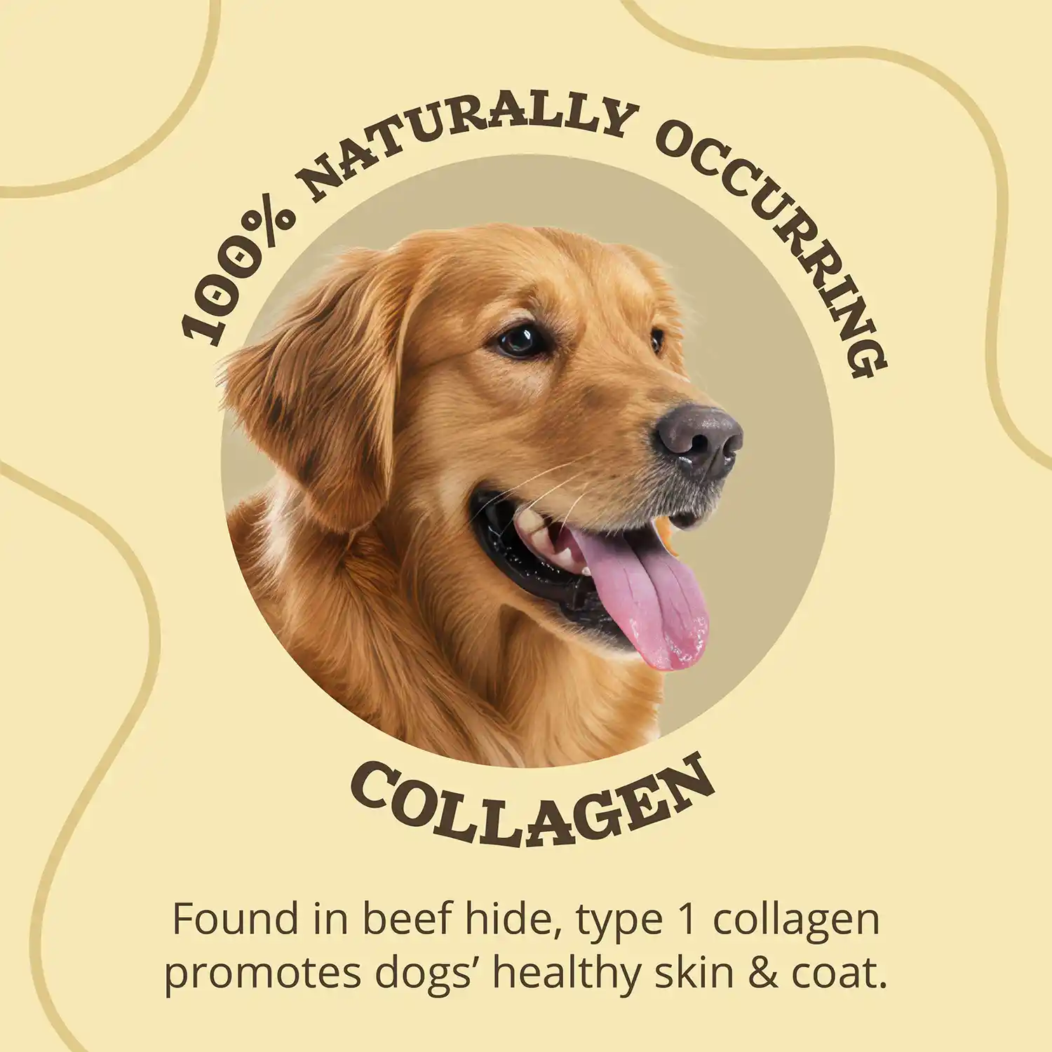 100% Naturally Occuring Collagen - Found in beef hide, type 1 collagen promotes dogs' healthy skin & coat.