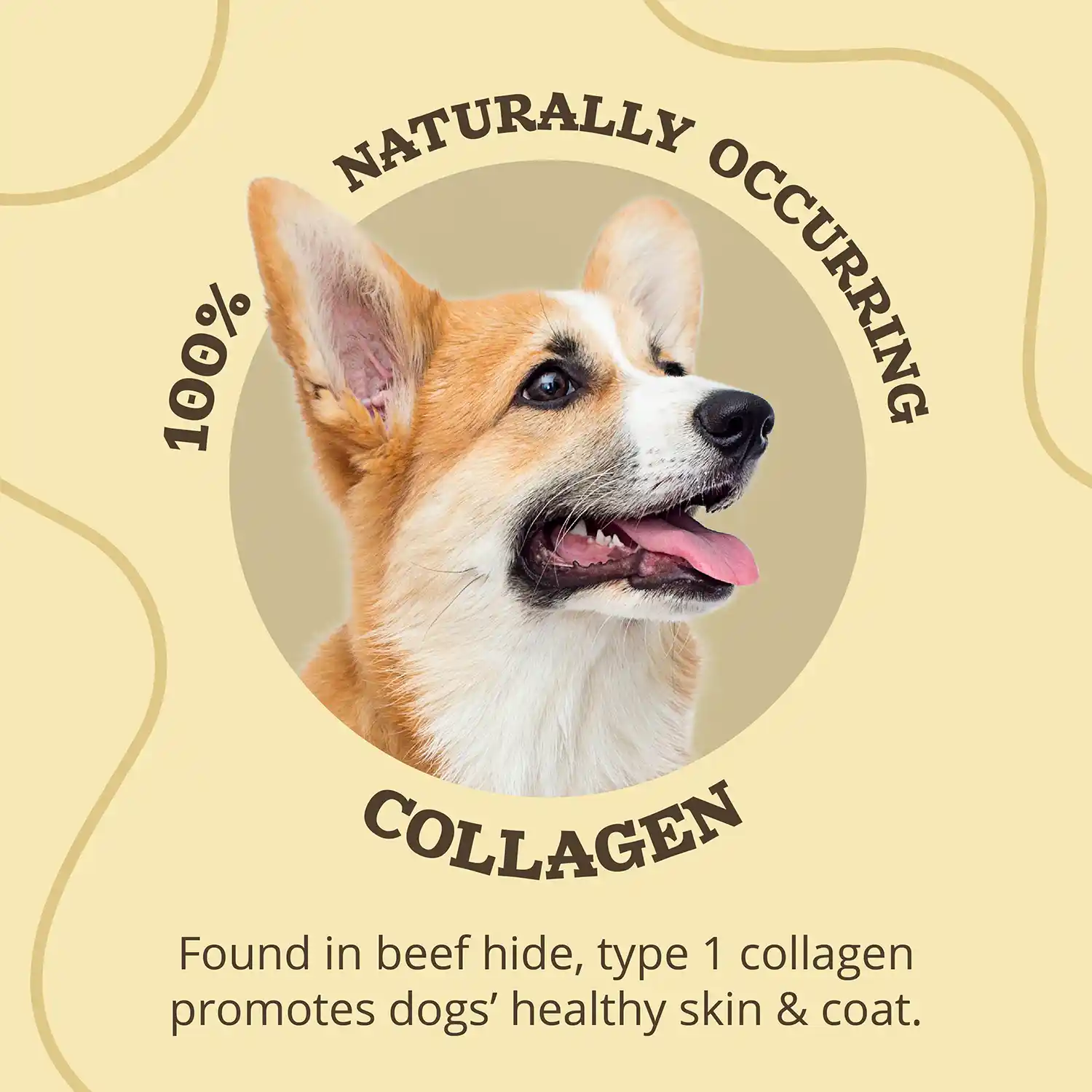 100% Naturally Occuring Collagen - Found in beef hide, type 1 collagen promotes dogs' healthy skin & coat.