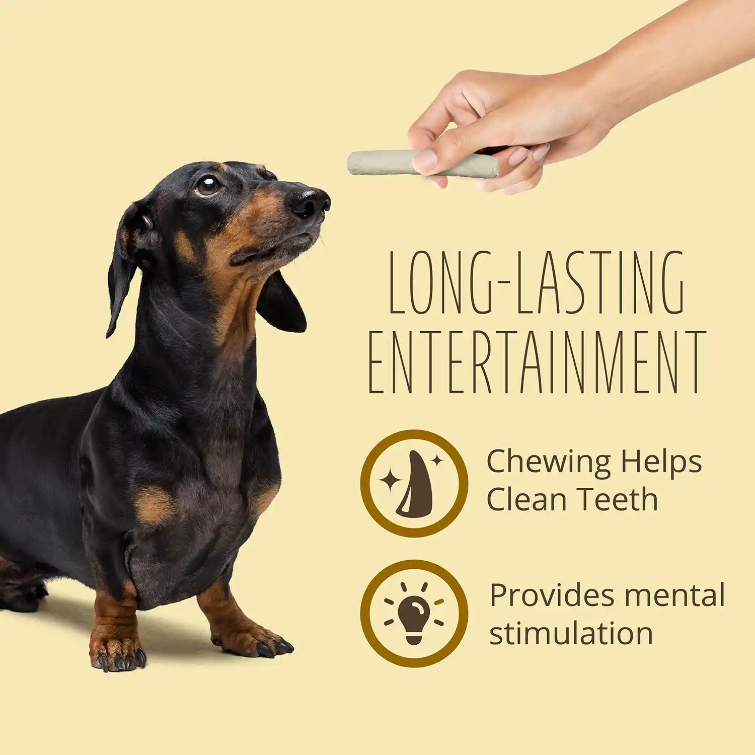 LONG-LASTING ENTERTAINMENT Chewing Helps Clean Teeth Provides mental stimulation