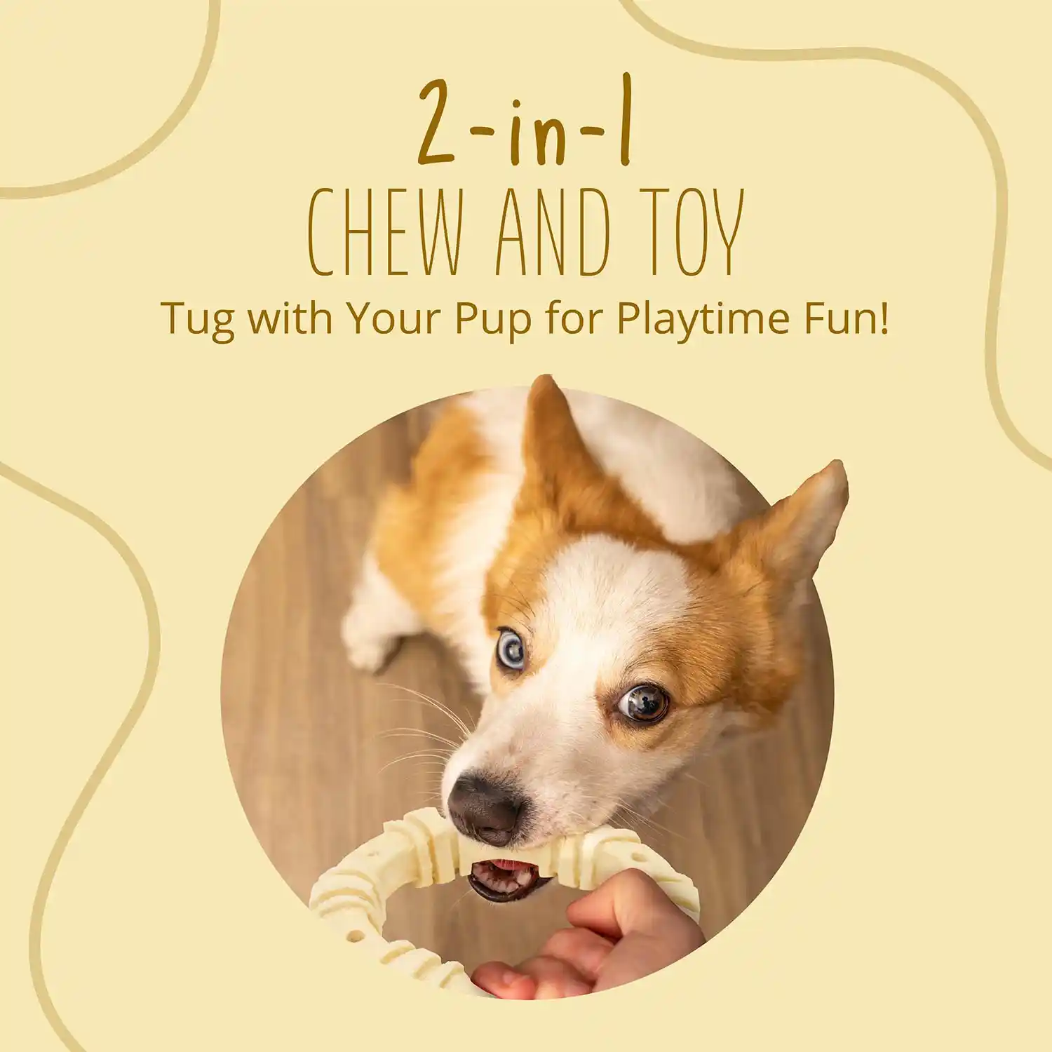2-in-1 Chew and Toy