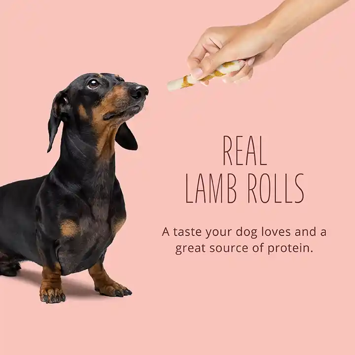 Proteins with Real Lamb Rolls