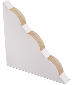 Black Flag Fly Window Traps Out of Pack