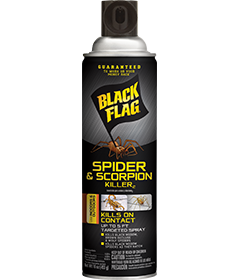 Spider & Scorpion Killer (Aerosol) Front