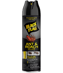 891549110318 BF Ant & Roach Killer (Unscented) Front