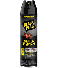 891549110332 BF Ant & Roach Killer (Spring Fresh) Front