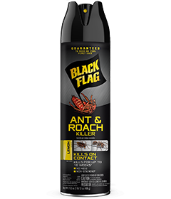 Ant & Roach Killer (Lemon Scent) Front