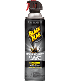 Black Flag Wasp, Hornet & Yellow Jacket Killer2 (Aerosol) Front