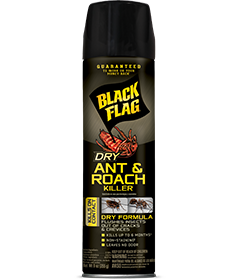Dry Ant & Roach Killer (Aerosol) Front