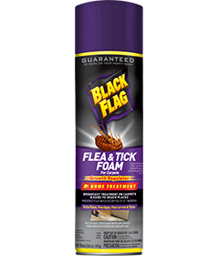 Black Flag Flea & Tick Foam (Aerosol) Front