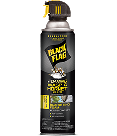 Black Flag Foaming Wasp & Hornet Killer (Aerosol) Front