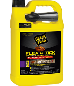 Black Flag Flea & Tick Spray Home Treatment (Ready-to-Use) Front