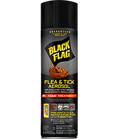 Black Flag Flea & Tick Aerosol Front