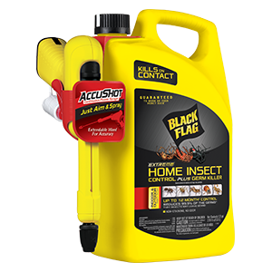 Extreme Home Insect Control Concentrate₂