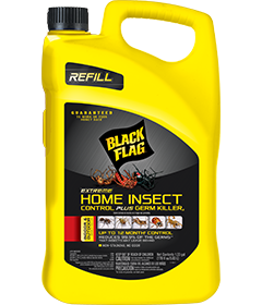 Extreme Home Insect Control Plus Germ Killer (AccuShot Refill) Front