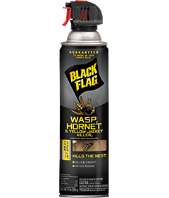 Wasp, Hornet & Yellow Jacket Killer2 (Aerosol) Front