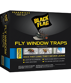 Black Flag Fly Window Traps Front