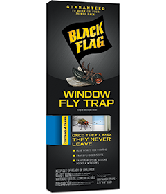 Black Flag Window Fly Traps Front