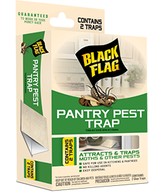 Black Flag Pantry Pest Trap Front