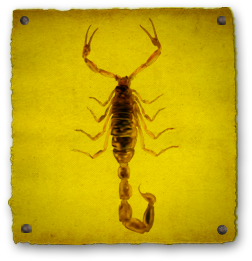 Scorpion