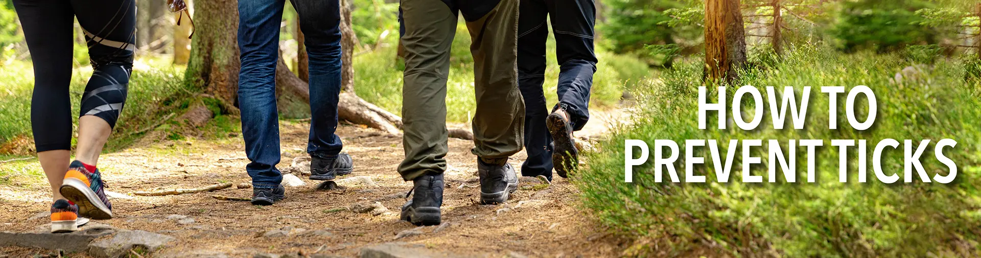 Prevent Ticks