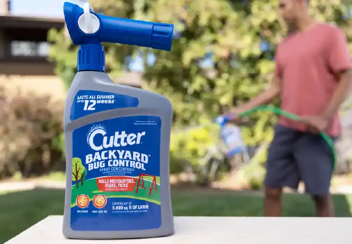 Cutter® Backyard Bug Control Spray Concentrate