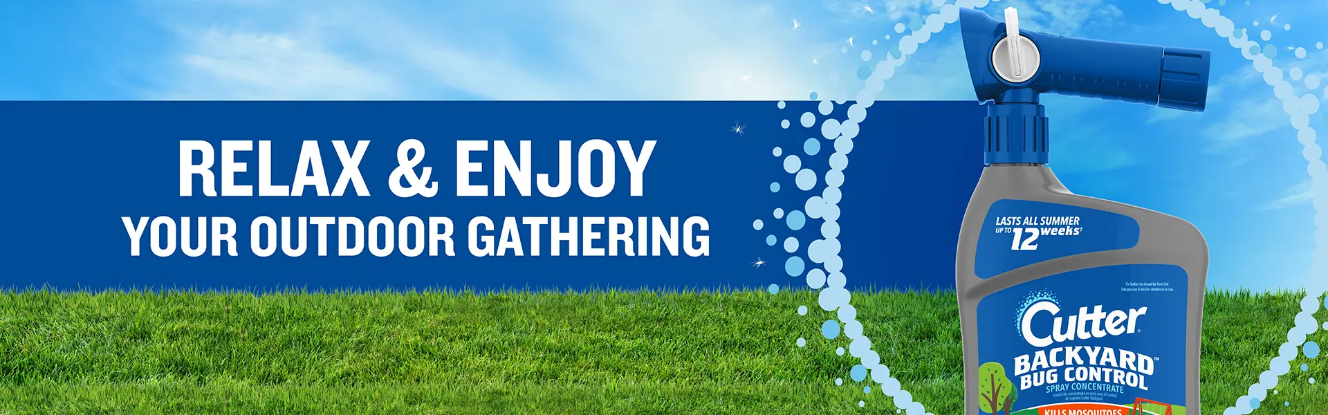 Backyard BBQ Banner - Hres