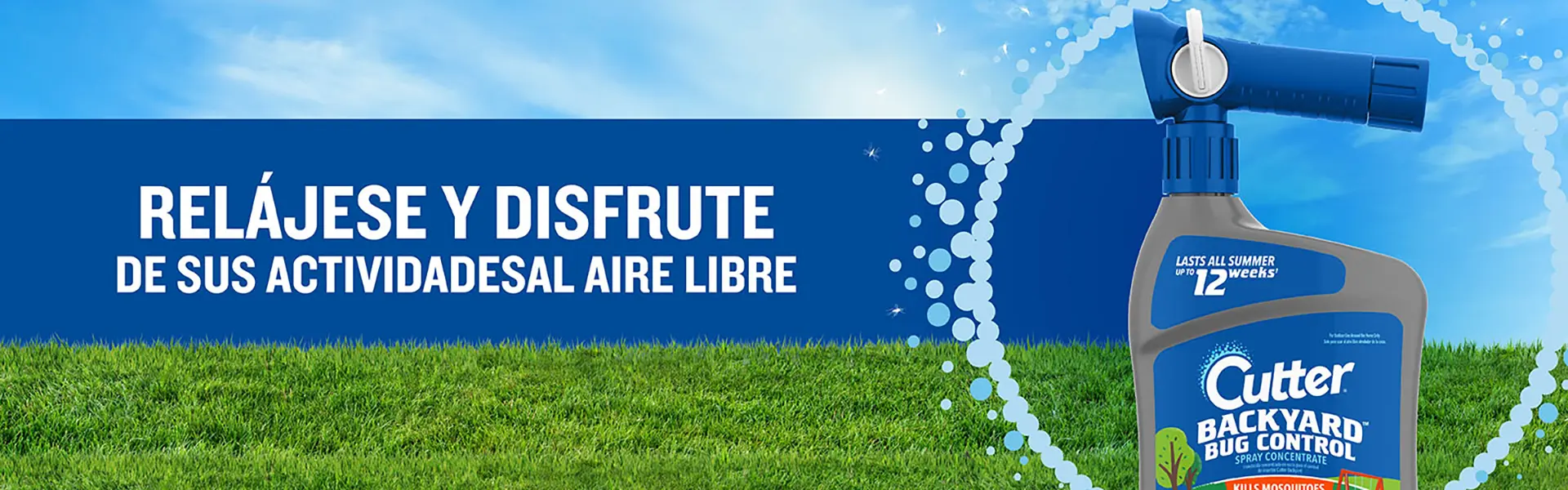 Backyard BBQ Banner - Hres