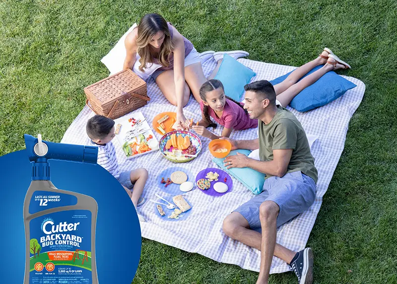 Cutter Backyard Bug Control