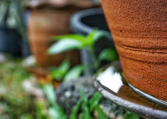 Cutter Standing Water