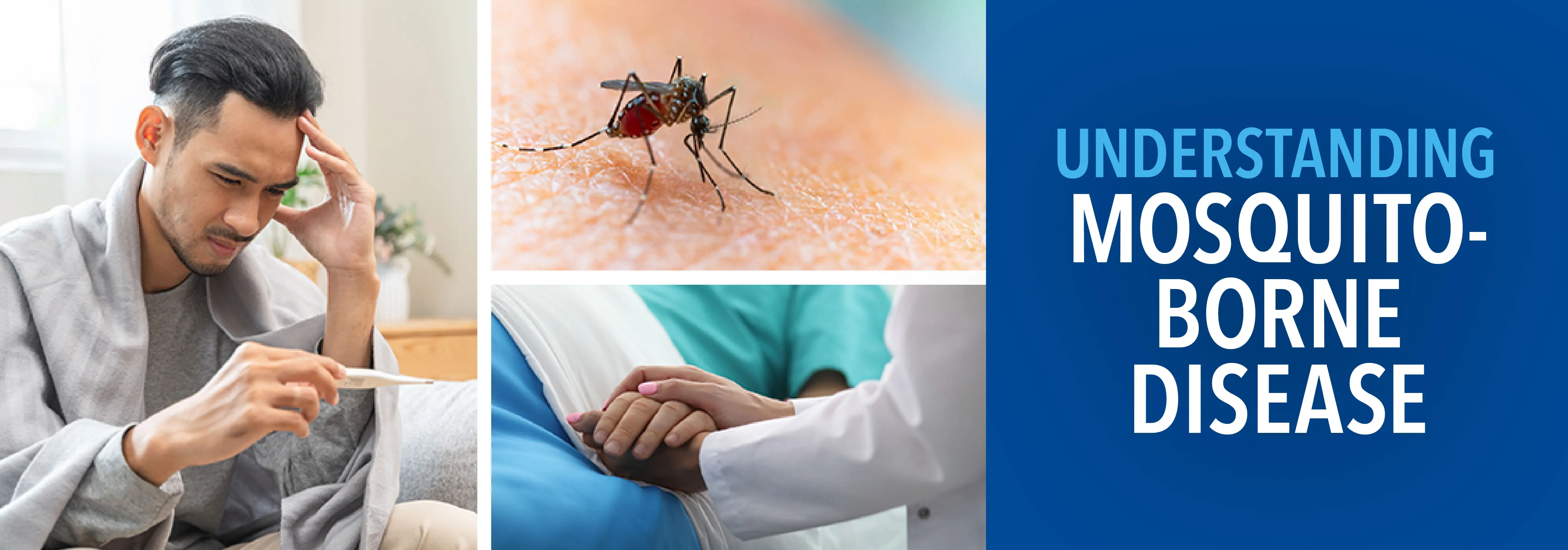 Understanding Mosquite Borne Diseases