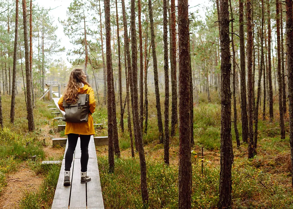 Cutter Planting Protection