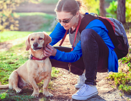Look Over Your Bags, Coats, and Pet