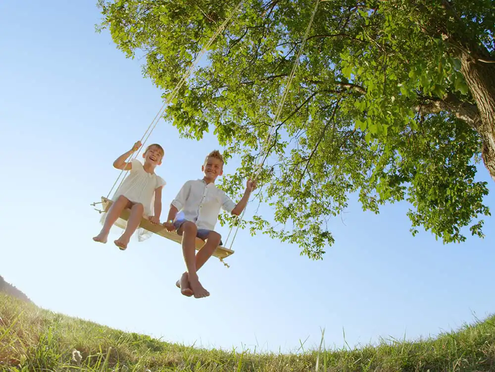 Zika Info Center Protect the Yard