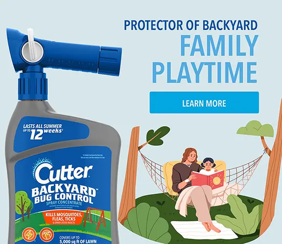 PROTECTOR OF BACKYARD FAMILY PLAYTIME