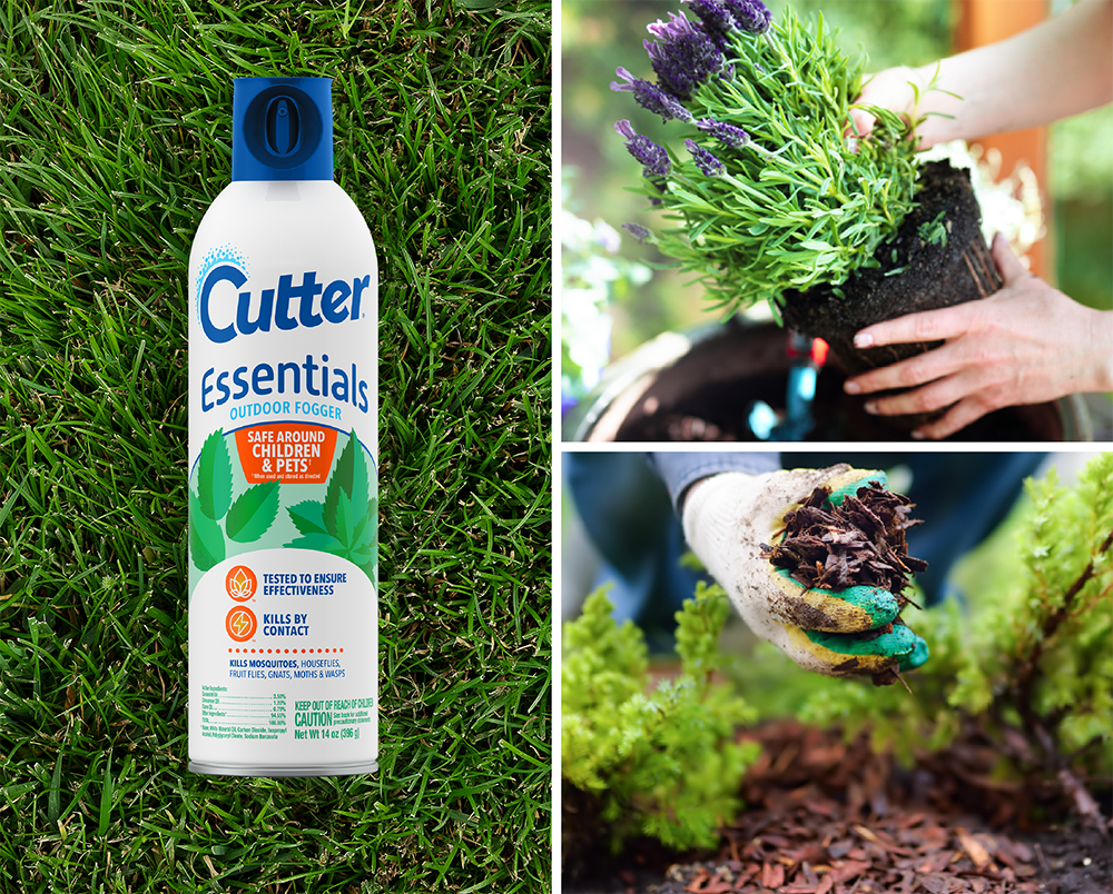 Cutter Essentials Featured Product