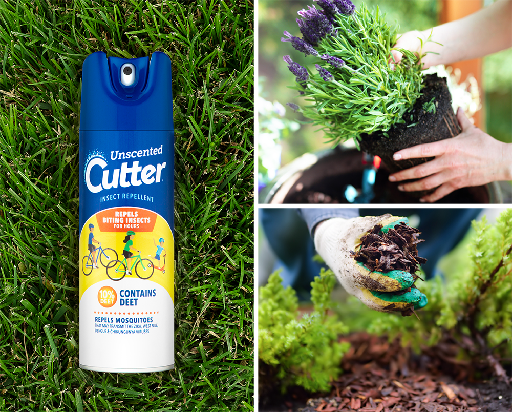 Cutter Unscented Dry Backyard