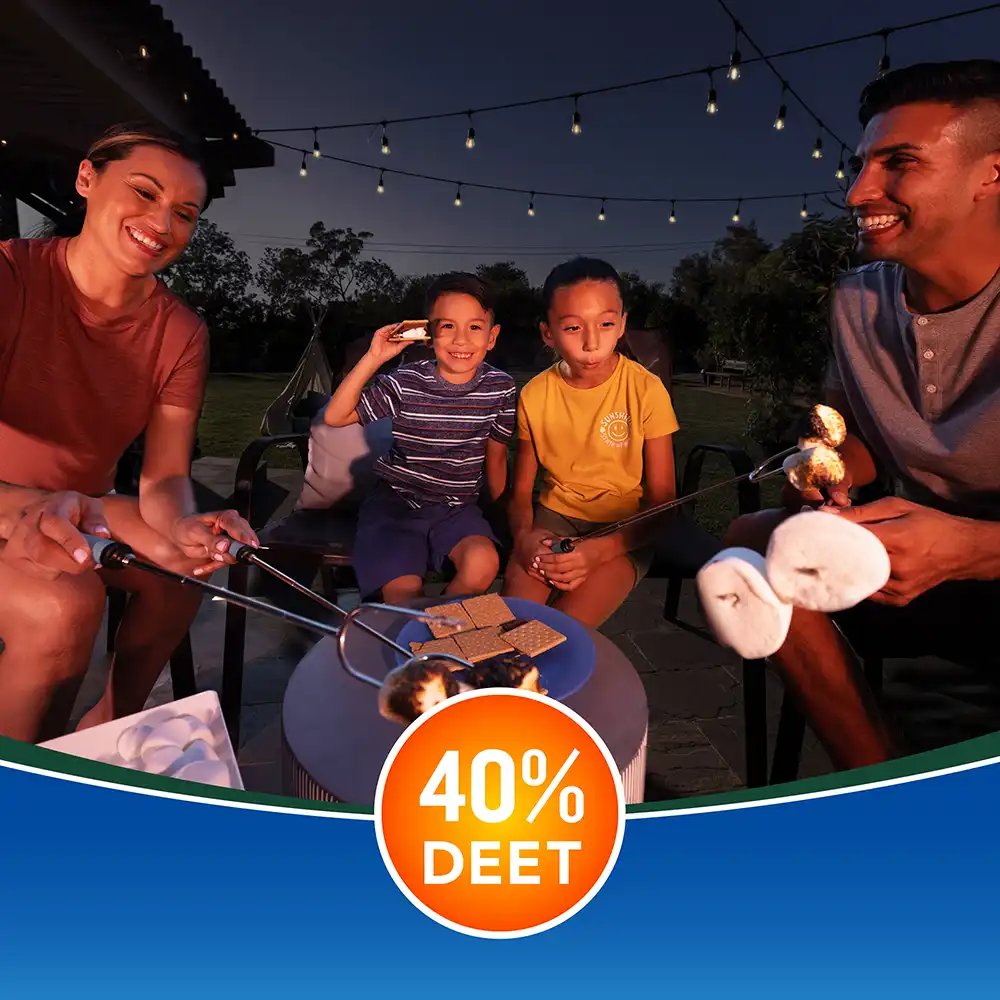 HG-86647 Backwoods Aerosol 11oz DEET