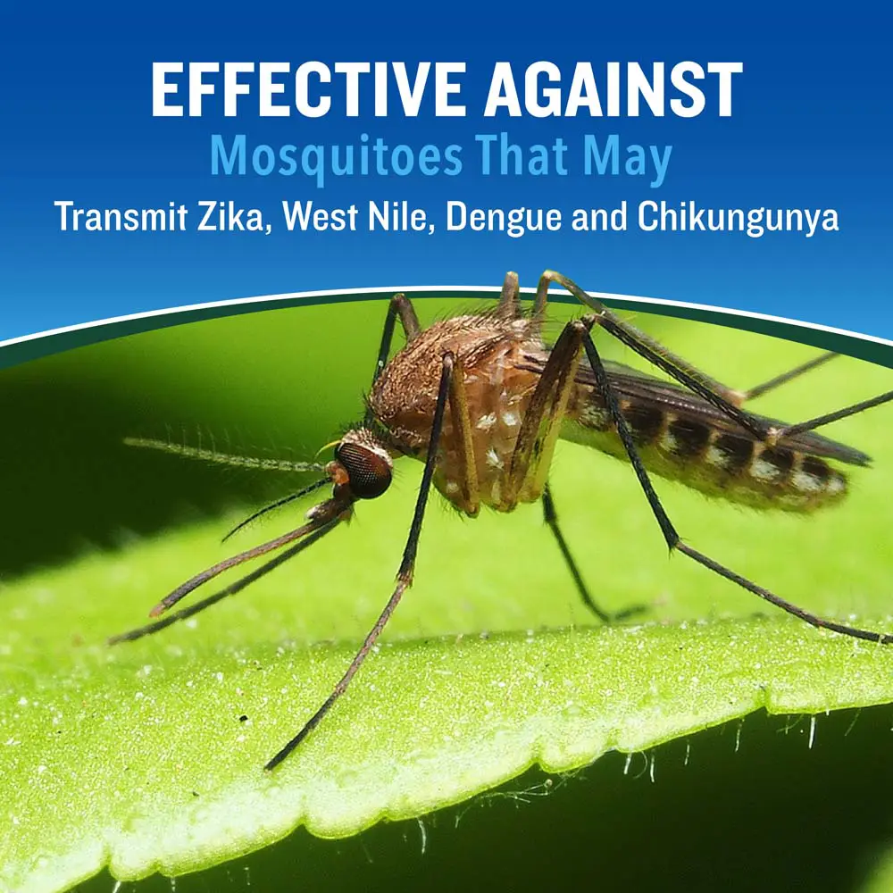 HG-96735 Backwoods Aerosol 3oz Effective Against