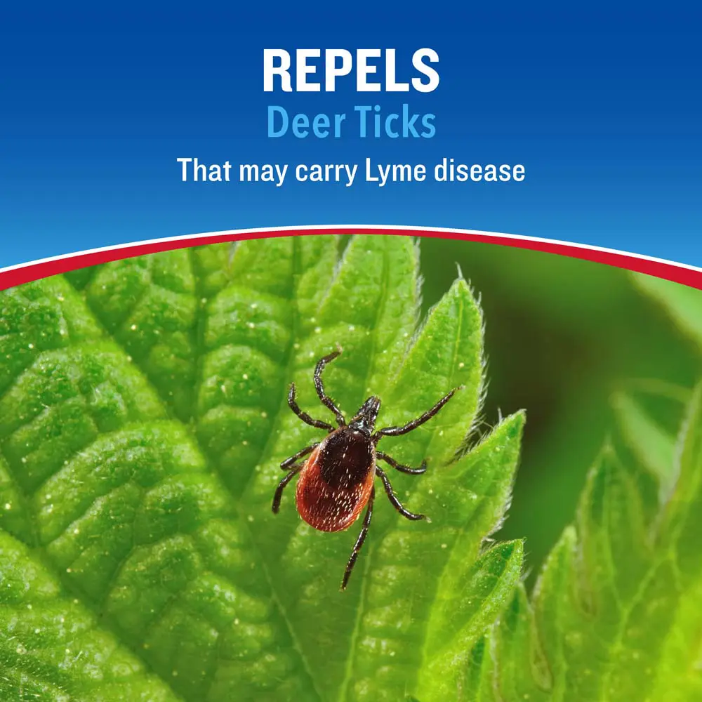 HG-96851 Backwoods® Tick Defense® Insect Repellent 6 oz (Pump Spray) - Repels Deer Ticks