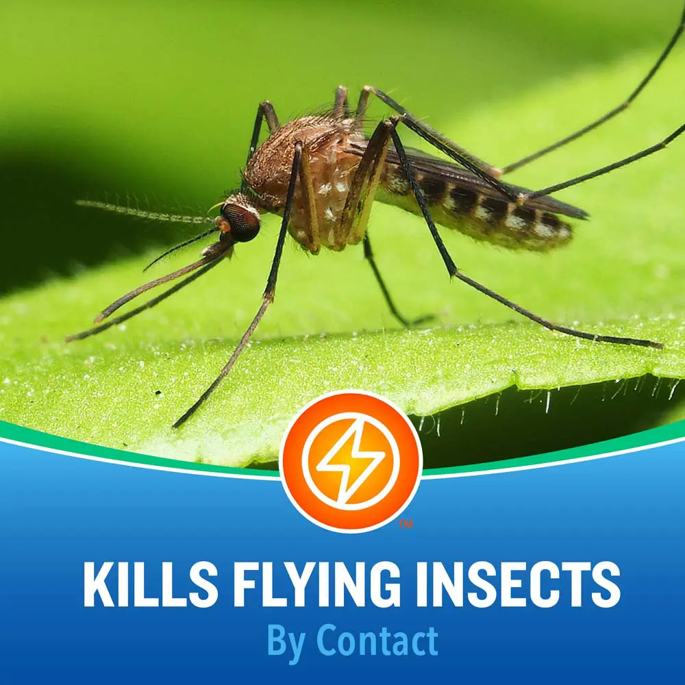 HG-96618 Essentials Fogger 14oz Kills Contact