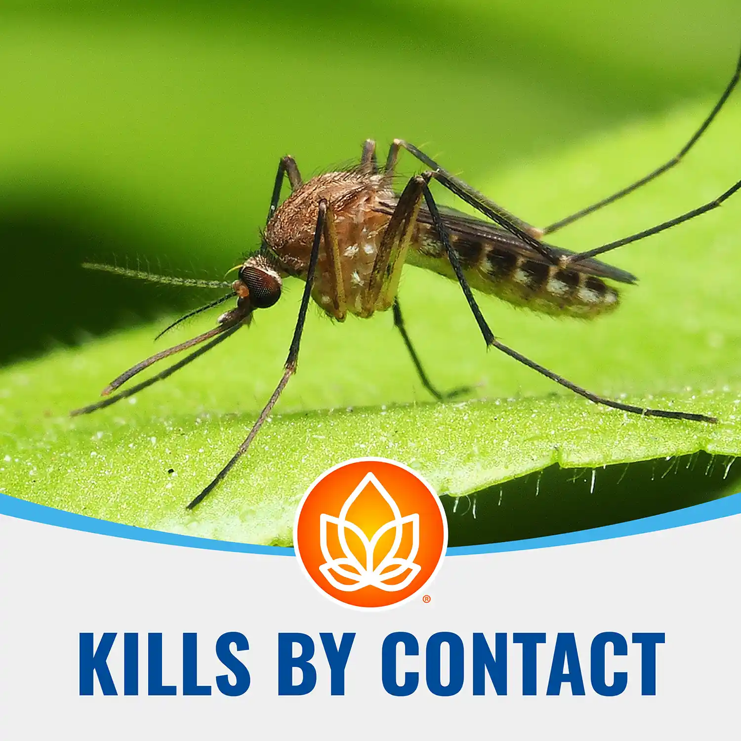 Kills by Contact