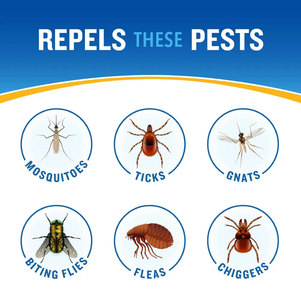 HG-96254 Sport Aerosol 11oz Repels