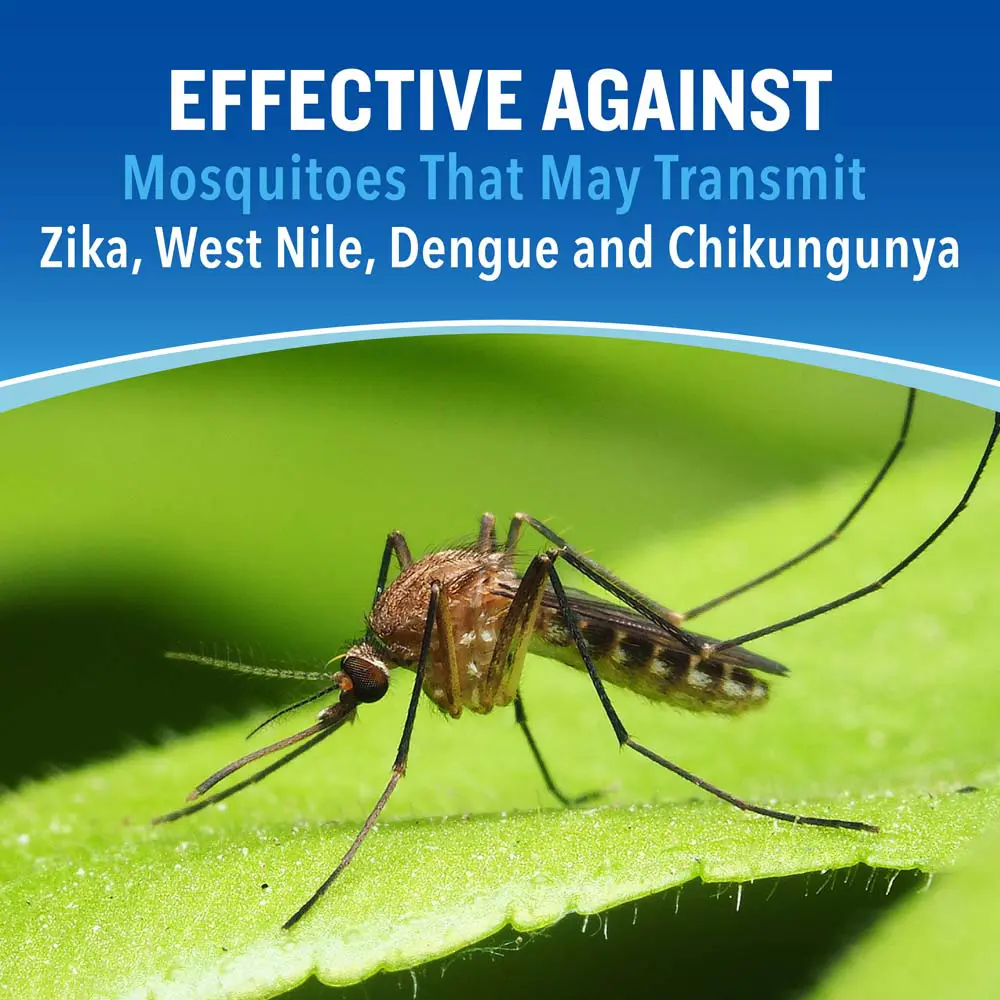 HG-96058 Dry Insect Repellent (Aerosol) 4oz Effective Against