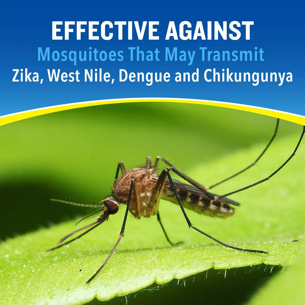 HG-96183 Unscented Aerosol 11oz Effective Against