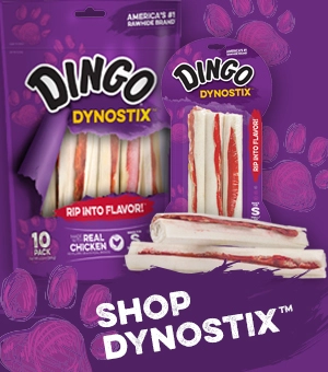 Dynostix