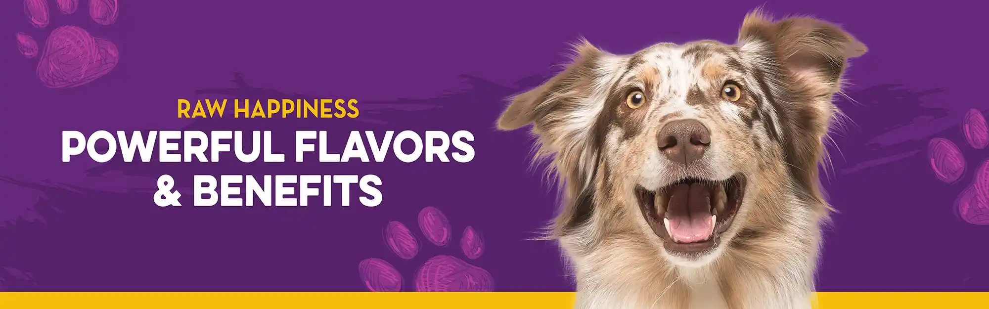 Dingo_CarouselDesktop